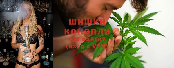 амф Пересвет